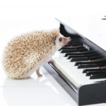 【カラオケ】音感の一番いい鍛え方はピアノをやることなの？